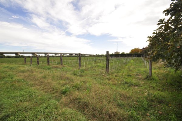 terreno agricolo in vendita a Campiglia Marittima in zona Venturina