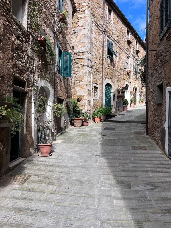 appartamento in vendita a Campiglia Marittima