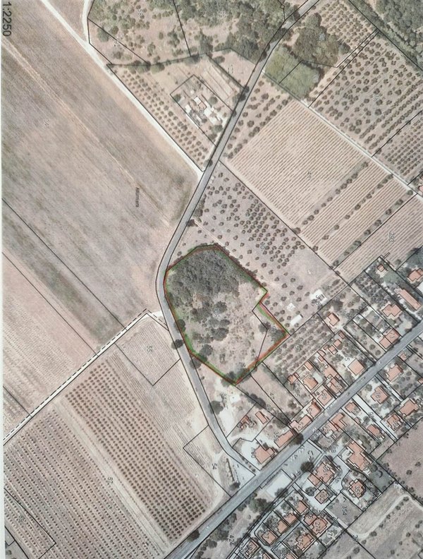 appartamento in vendita a Campiglia Marittima