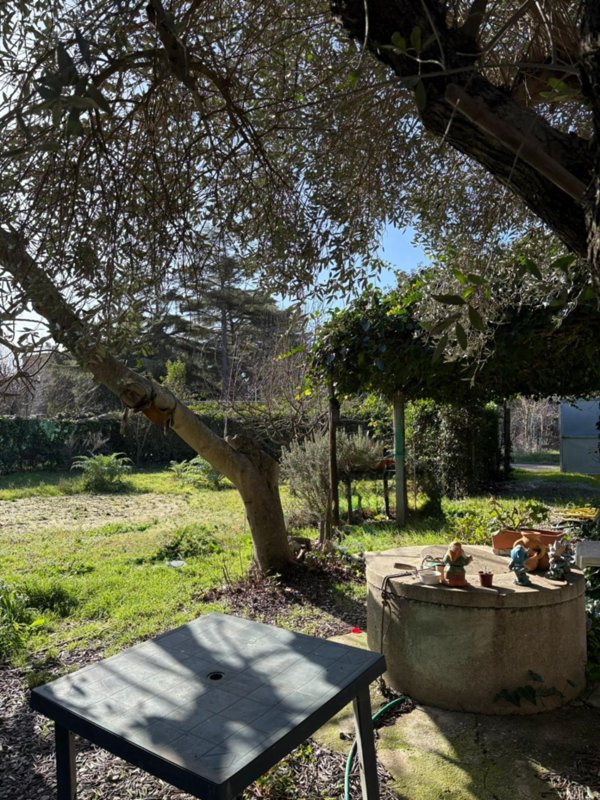 terreno agricolo in vendita a Campiglia Marittima in zona Venturina