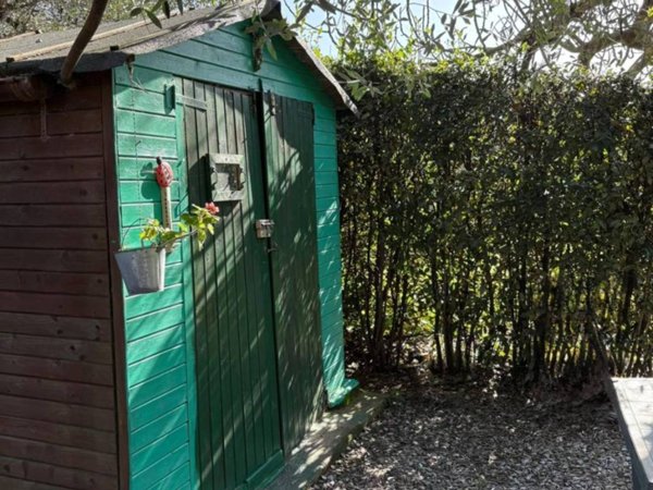 terreno agricolo in vendita a Campiglia Marittima in zona Venturina