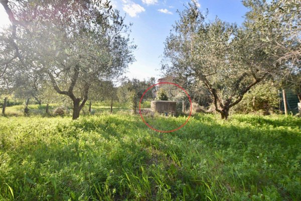 terreno agricolo in vendita a Campiglia Marittima