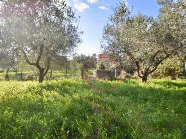 terreno agricolo in vendita a Campiglia Marittima in zona Venturina