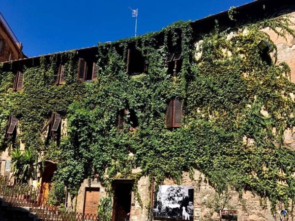 appartamento in vendita a Campiglia Marittima