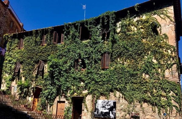 appartamento in vendita a Campiglia Marittima