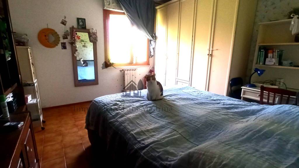 appartamento in vendita a Campiglia Marittima in zona Venturina