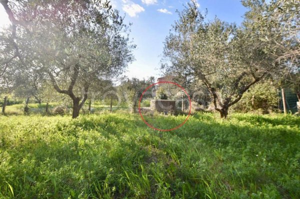 terreno agricolo in vendita a Campiglia Marittima in zona Venturina