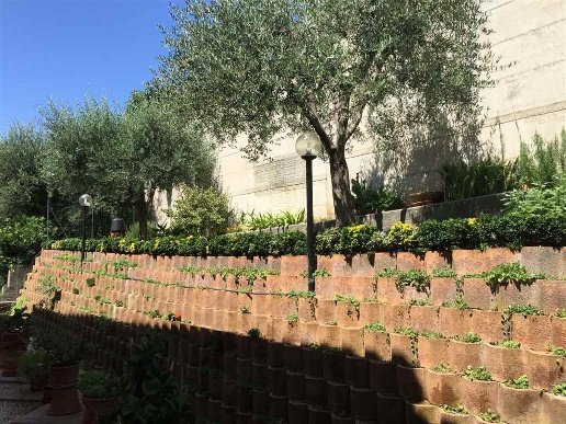 appartamento in vendita a Campiglia Marittima