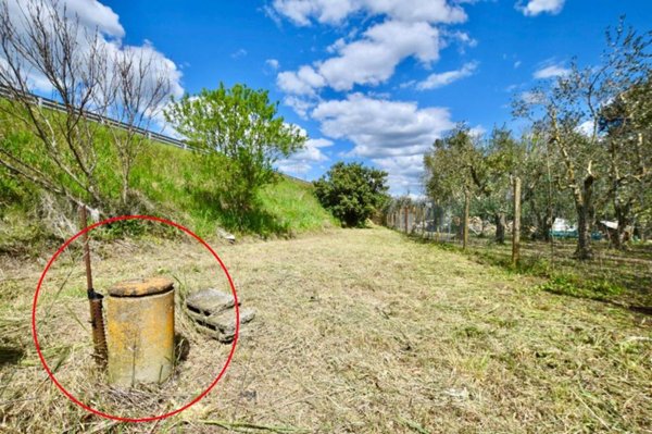 terreno agricolo in vendita a Campiglia Marittima in zona Venturina