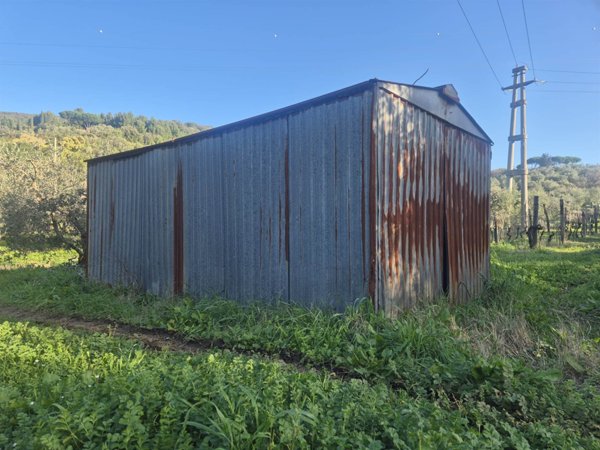 terreno agricolo in vendita a Campiglia Marittima in zona Venturina