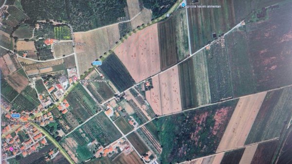 terreno agricolo in vendita a Campiglia Marittima in zona Cafaggio
