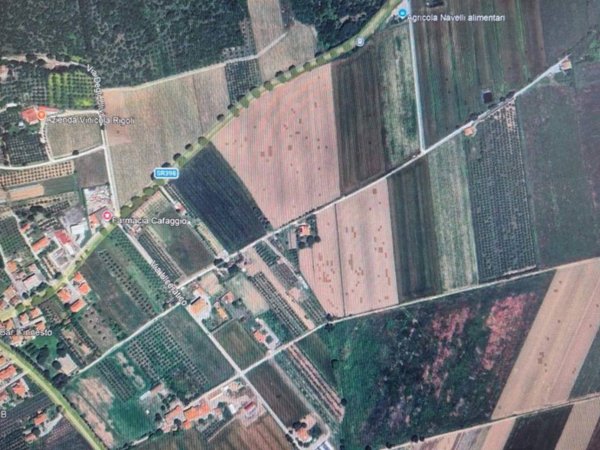 terreno agricolo in vendita a Campiglia Marittima