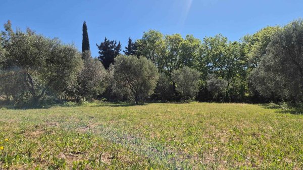 terreno agricolo in vendita a Campiglia Marittima