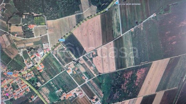 terreno agricolo in vendita a Campiglia Marittima