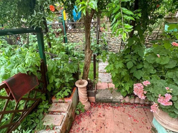 casa indipendente in vendita a Campiglia Marittima