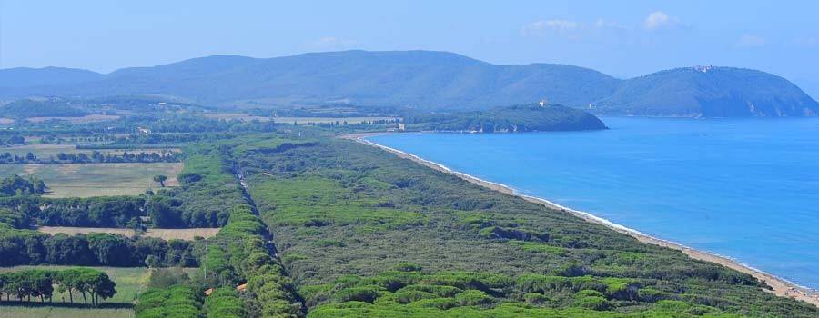 terreno agricolo in vendita a Campiglia Marittima