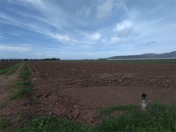 appartamento in vendita a Campiglia Marittima in zona Venturina