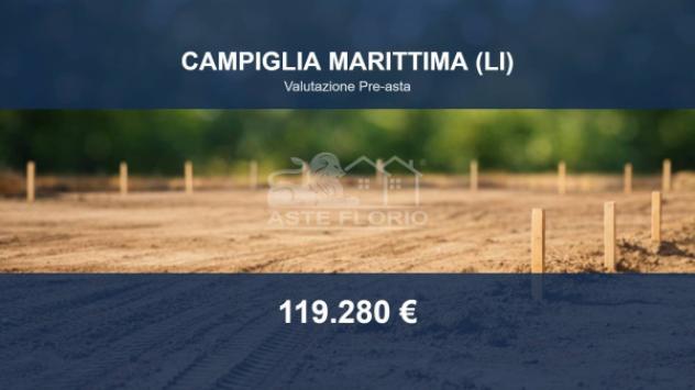 terreno agricolo in vendita a Campiglia Marittima in zona Venturina