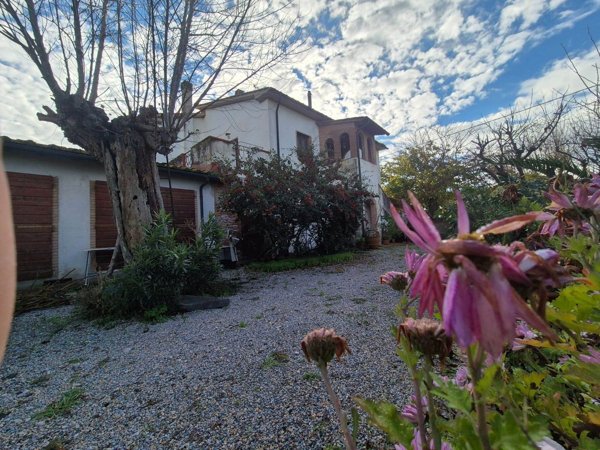 appartamento in vendita a Campiglia Marittima