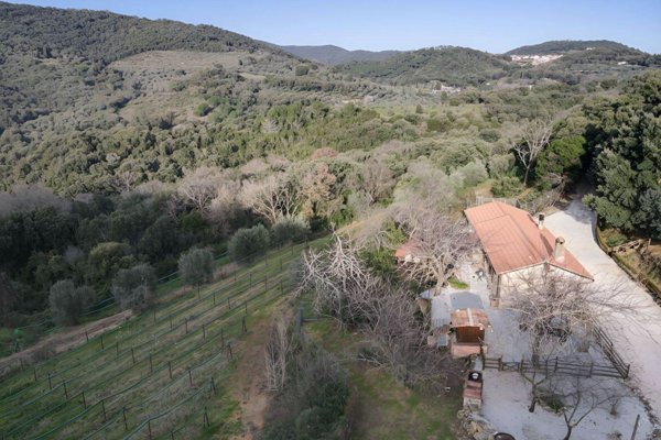 casa indipendente in vendita a Campiglia Marittima in zona Venturina
