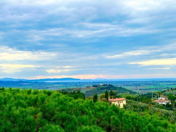 appartamento in vendita a Campiglia Marittima