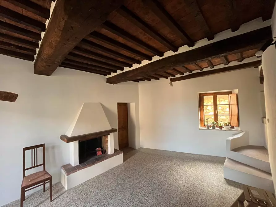 appartamento in vendita a Campiglia Marittima