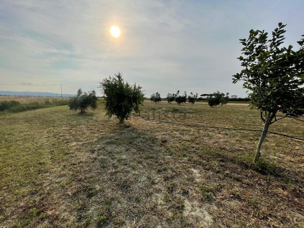 terreno agricolo in vendita a Campiglia Marittima