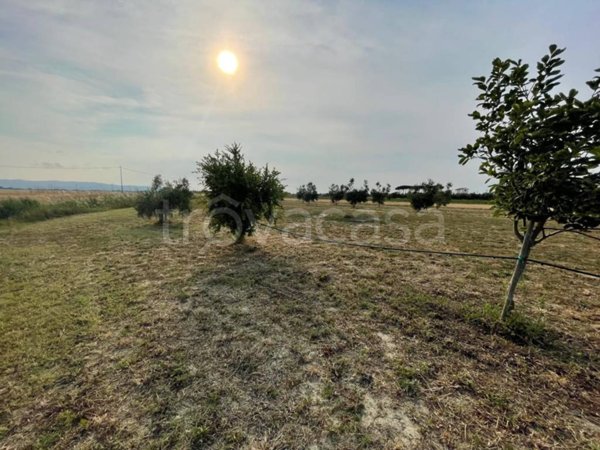 terreno agricolo in vendita a Campiglia Marittima in zona Venturina