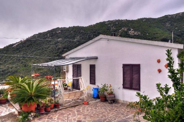 casa indipendente in vendita a Campo nell'Elba in zona Seccheto