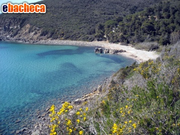 appartamento in vendita a Campo nell'Elba