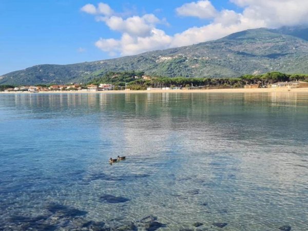 casa indipendente in vendita a Campo nell'Elba