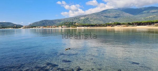 casa indipendente in vendita a Campo nell'Elba