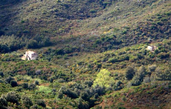 casa indipendente in vendita a Campo nell'Elba