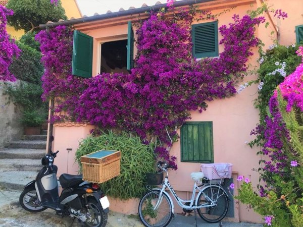appartamento in vendita a Campo nell'Elba in zona La Pila