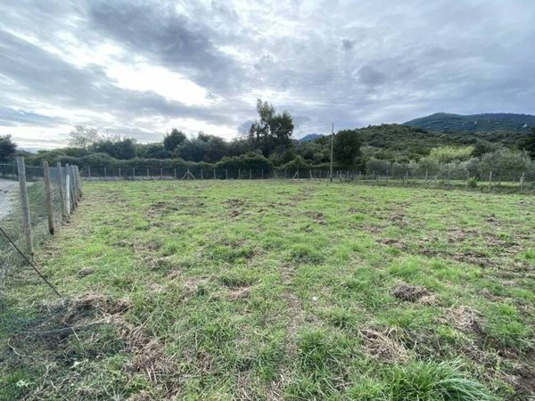terreno agricolo in vendita a Campo nell'Elba
