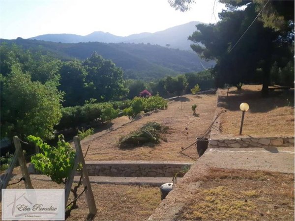 casa indipendente in vendita a Campo nell'Elba in zona Seccheto