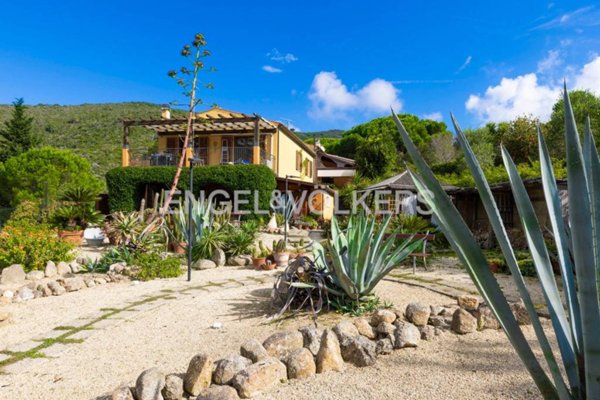 appartamento in vendita a Campo nell'Elba