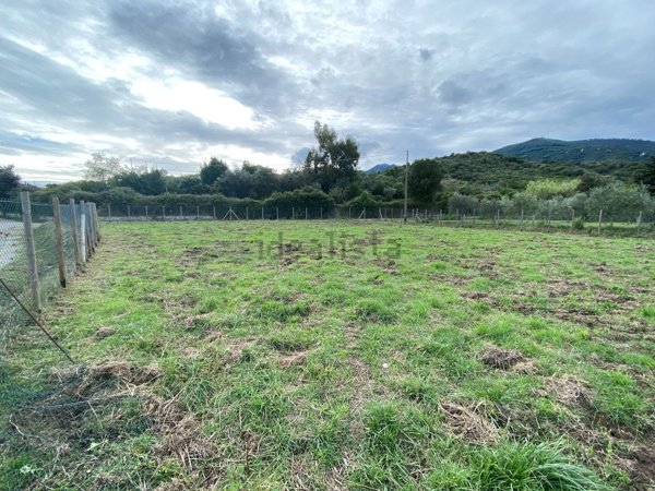terreno agricolo in vendita a Campo nell'Elba