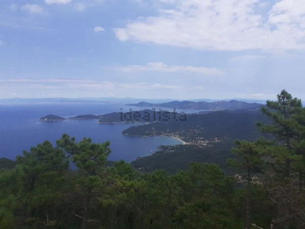 terreno agricolo in vendita a Campo nell'Elba