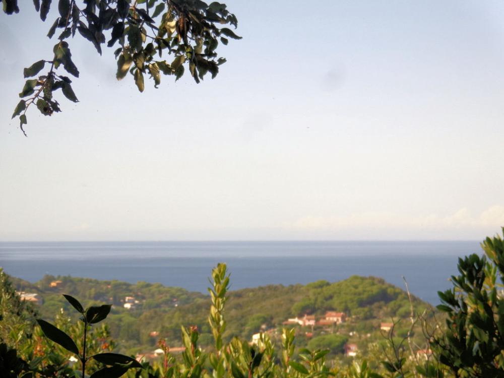 azienda agricola in vendita a Campo nell'Elba