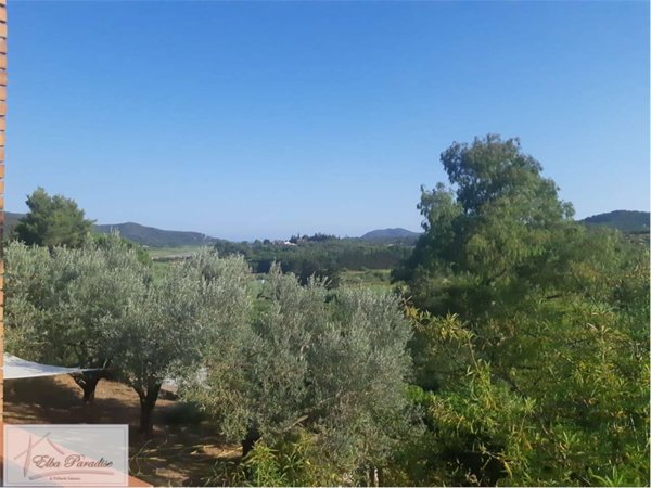 casa indipendente in vendita a Campo nell'Elba in zona Seccheto