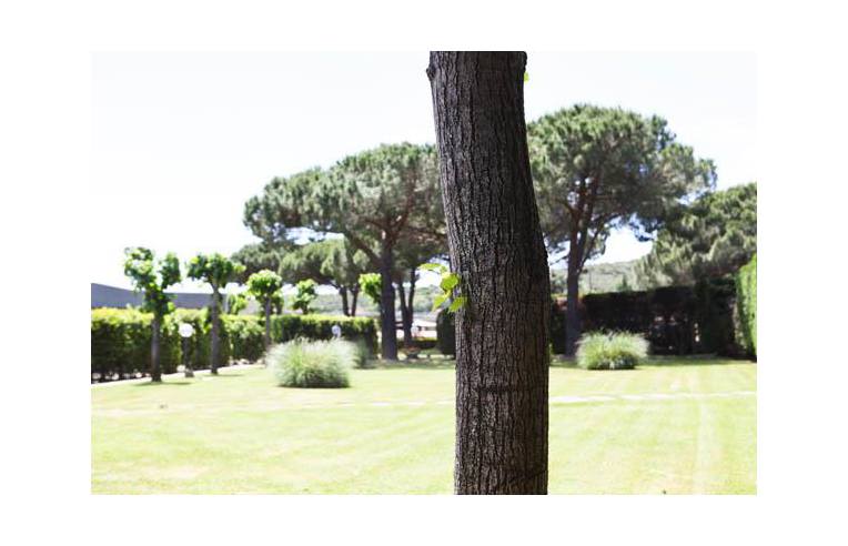 appartamento in vendita a Campo nell'Elba in zona La Pila