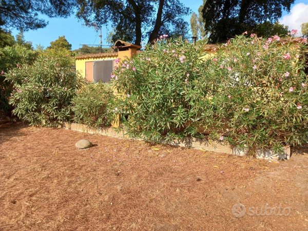 appartamento in vendita a Campo nell'Elba