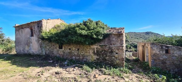 appartamento in vendita a Campo nell'Elba