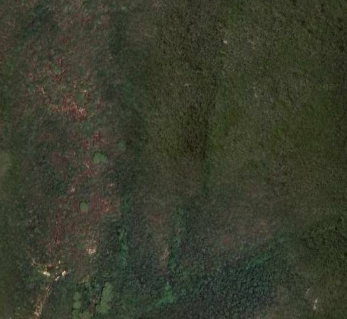 terreno agricolo in vendita a Campo nell'Elba