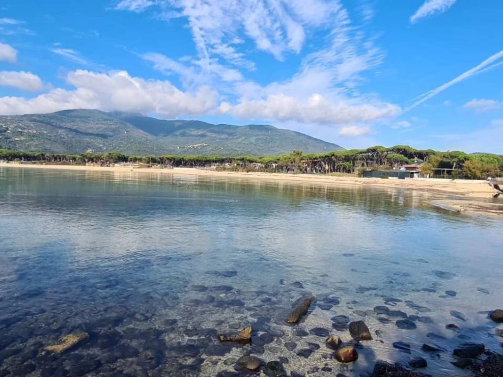 appartamento in vendita a Campo nell'Elba