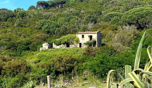 casale in vendita a Campo nell'Elba