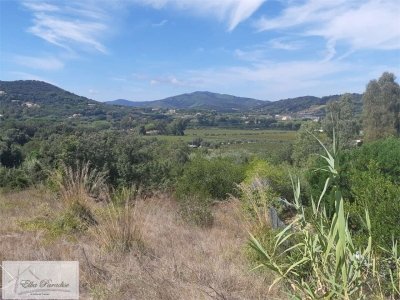 terreno agricolo in vendita a Capoliveri in zona Madonna delle Grazie