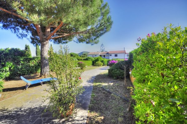 casa indipendente in vendita a Capoliveri in zona Lacona