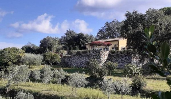 casa indipendente in vendita a Capoliveri